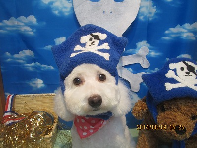 ファイル 7995-1.jpg