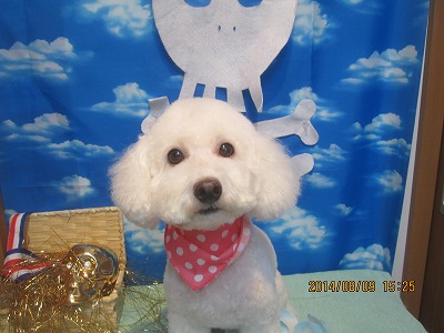 ファイル 7995-2.jpg