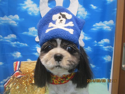 ファイル 7996-1.jpg