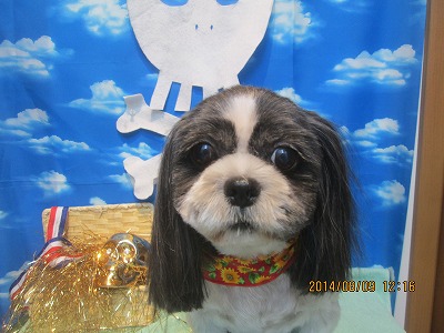 ファイル 7996-2.jpg