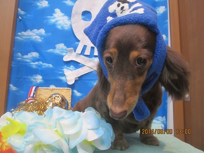 ファイル 7997-1.jpg