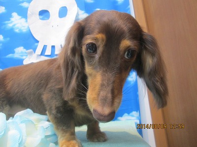 ファイル 7997-2.jpg