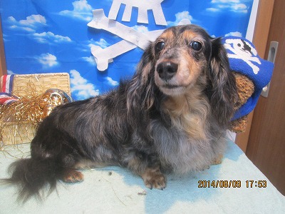 ファイル 7998-2.jpg