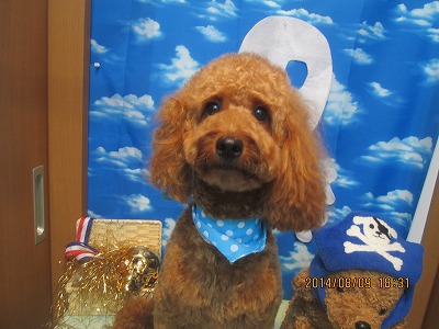 ファイル 7999-2.jpg