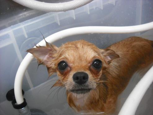 ファイル 80-2.jpg