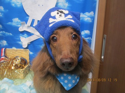 ファイル 8001-1.jpg