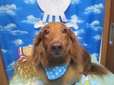 ファイル 8001-2.jpg