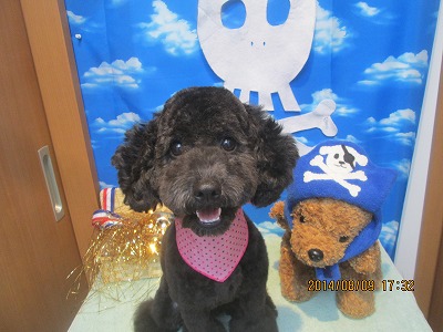 ファイル 8002-2.jpg