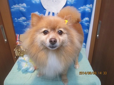 ファイル 8003-2.jpg