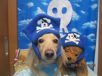 ファイル 8004-1.jpg