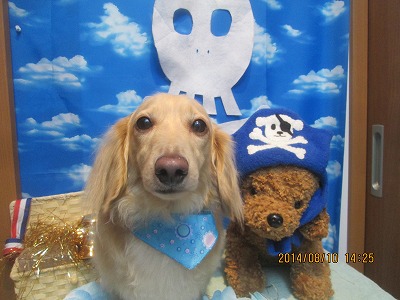 ファイル 8004-2.jpg