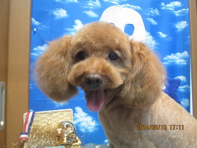 ファイル 8005-2.jpg