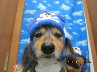 ファイル 8006-1.jpg