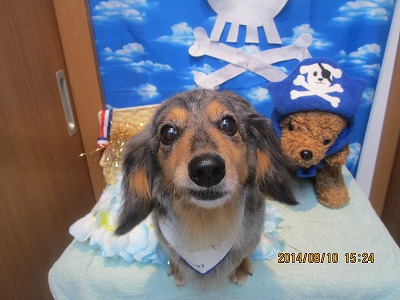 ファイル 8006-2.jpg