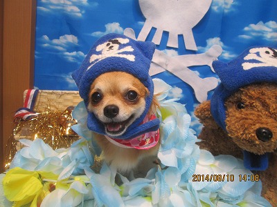 ファイル 8007-1.jpg