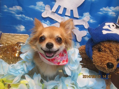 ファイル 8007-2.jpg