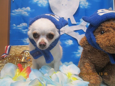 ファイル 8008-2.jpg