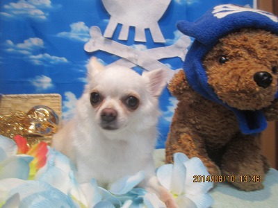 ファイル 8008-3.jpg