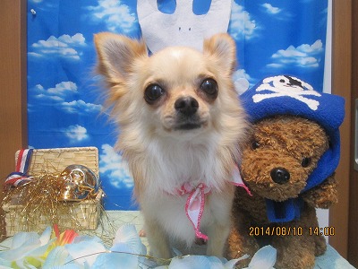 ファイル 8009-2.jpg