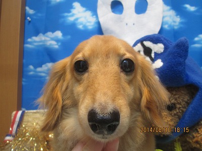 ファイル 8010-2.jpg