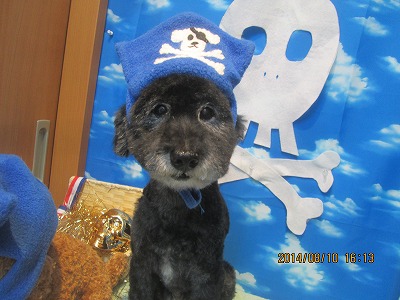 ファイル 8012-1.jpg