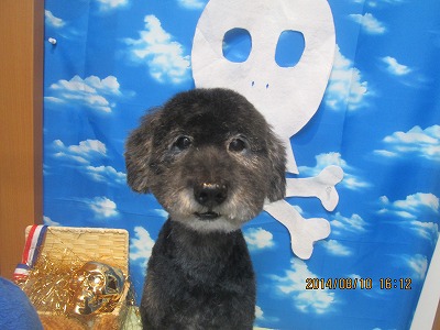 ファイル 8012-2.jpg