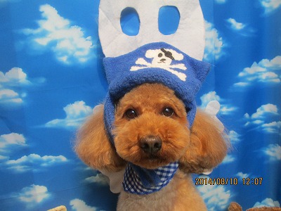 ファイル 8014-1.jpg