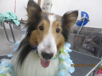 ファイル 8015-2.jpg