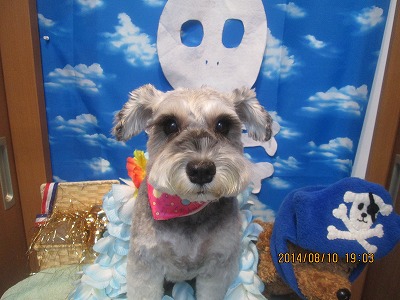 ファイル 8016-1.jpg