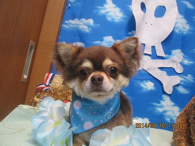 ファイル 8017-2.jpg