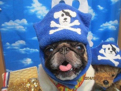 ファイル 8018-1.jpg