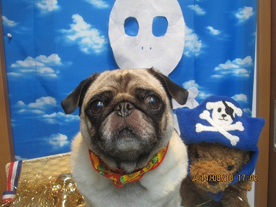 ファイル 8018-2.jpg