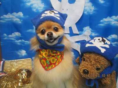 ファイル 8020-1.jpg