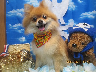 ファイル 8020-2.jpg