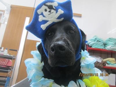 ファイル 8023-1.jpg