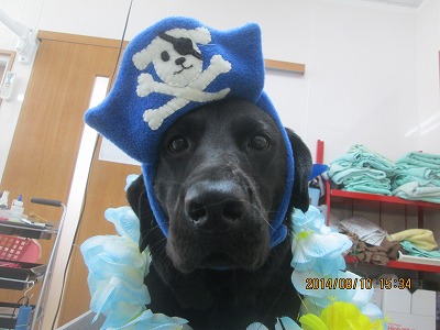 ファイル 8023-2.jpg