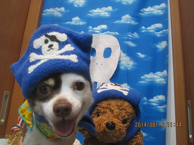 ファイル 8024-1.jpg