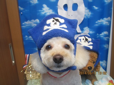 ファイル 8025-1.jpg