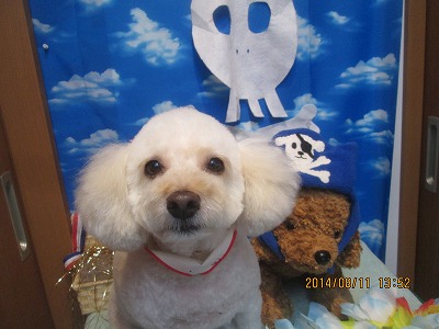 ファイル 8025-2.jpg