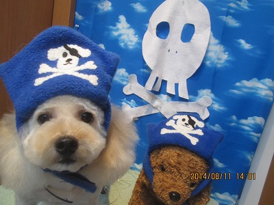 ファイル 8026-1.jpg