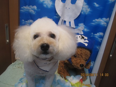 ファイル 8026-2.jpg