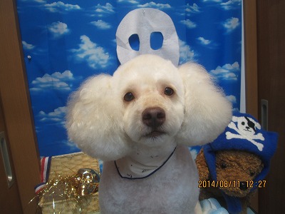 ファイル 8027-1.jpg