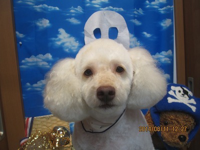 ファイル 8027-2.jpg