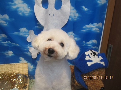 ファイル 8028-1.jpg