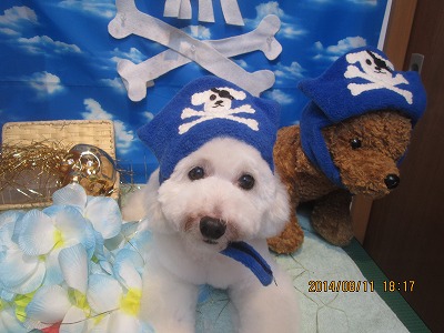 ファイル 8028-2.jpg