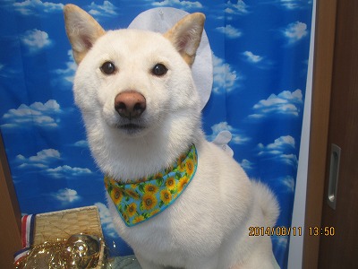 ファイル 8029-1.jpg