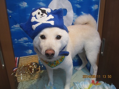 ファイル 8029-2.jpg