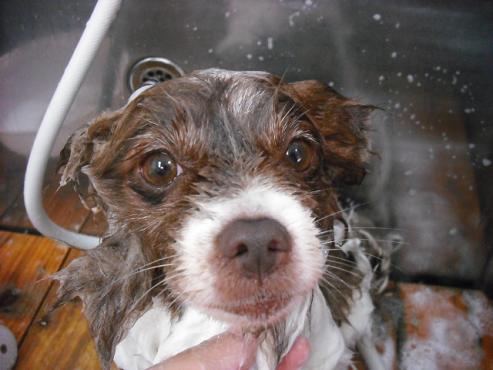 ファイル 803-2.jpg