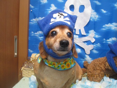 ファイル 8030-1.jpg