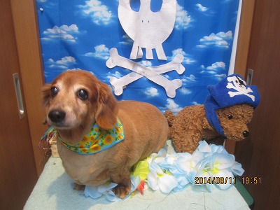 ファイル 8030-2.jpg